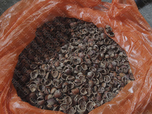 Дробление скорлупы фундука