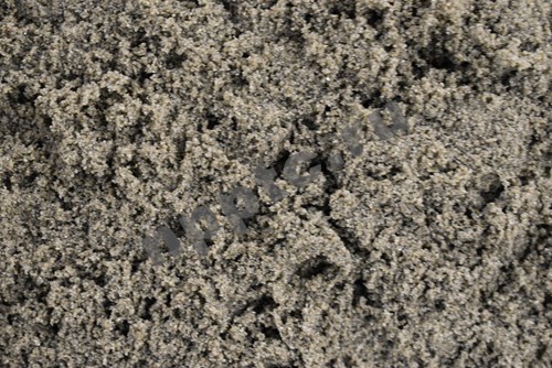 thumb_24Y_0032.jpg